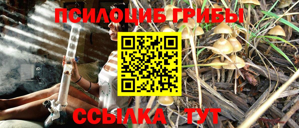 Амурск  Псилоцибиновые грибы Psilocybe  Галлюциногенные грибы GOLDEN TEACHER  Вход с VPN 
